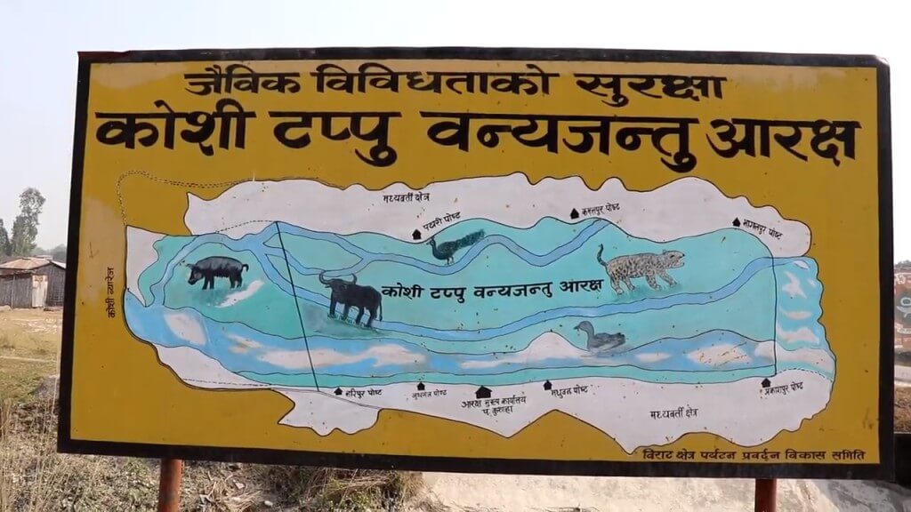 Koshi Tappu Wildlife Reserve Nepal