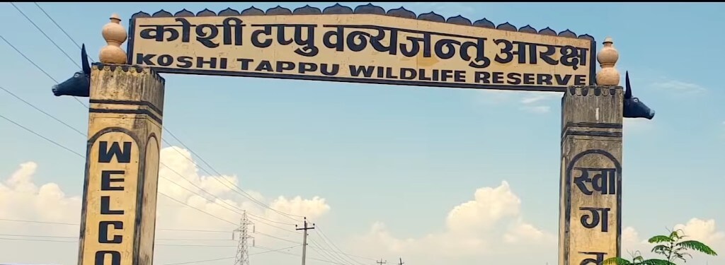 Koshi Tappu Wildlife Reserve Nepal Gate
