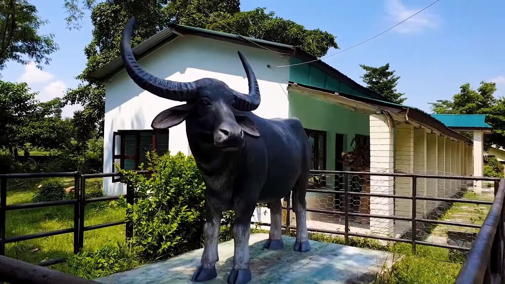 Water Buffalo Arna Statue at Koshi Tappu Wildlife Reserve Nepal