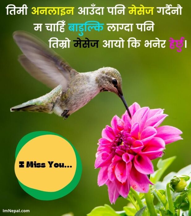 I miss you love messages Nepali