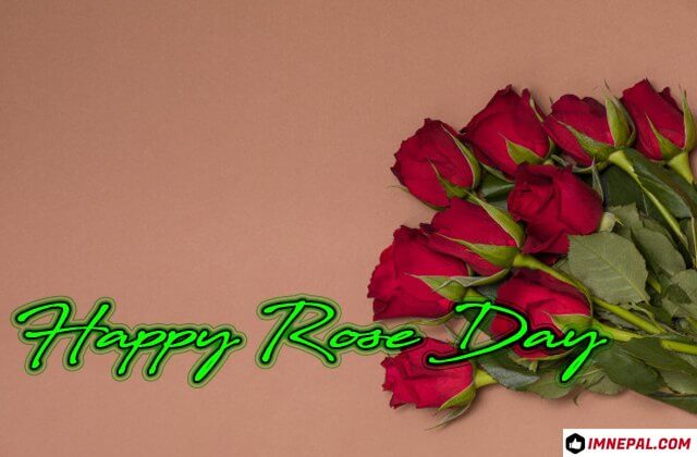 Happy Rose Day Greeting Cards