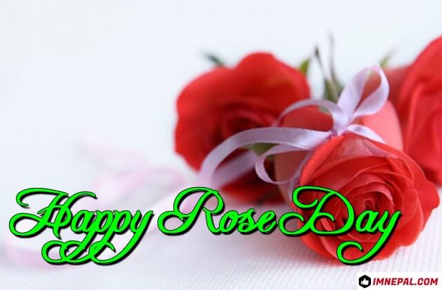 Happy Rose Day Greeting Cards Images