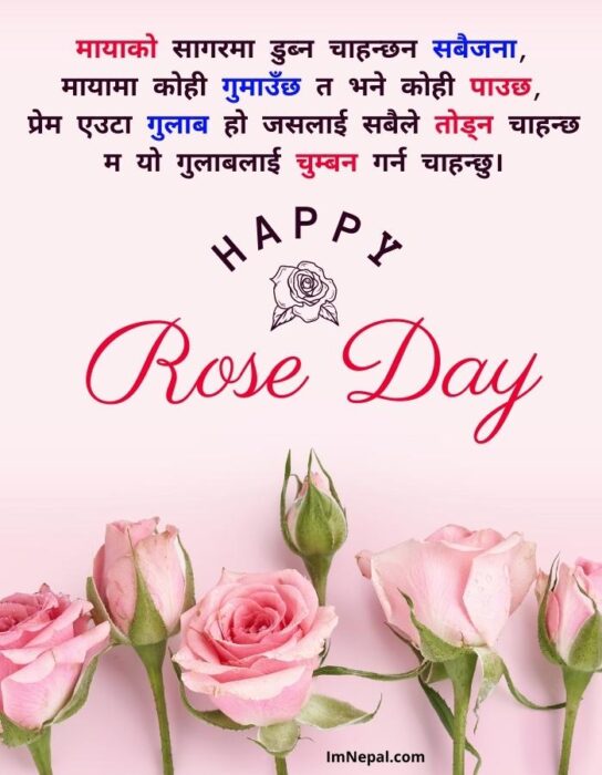 Happy Rose Day Nepali Shayari Card