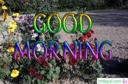 good morning greeting card images wallpapers picture photos pics wishes messages sms text quotes greetings ecards