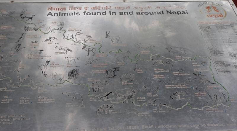 Zoo Kathmandu Nepal Photos Images Animal Birds Pictures Travel Tours Holidays