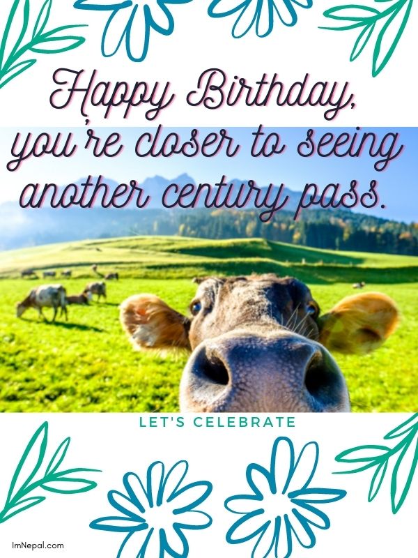 Funny Birthday Wishes And Messages With 99 GIF Images