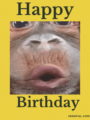 funny birthday wishes GIF Images hilarious