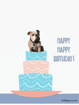 funny birthday wishes GIF cake Images