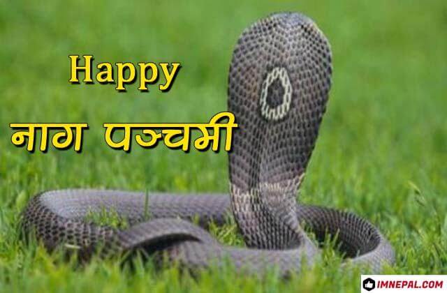 Happy Nag Panchami Greetings Cards Image Wishes Pictures Wallpapers Photos Pics Messages Quotes Snakes Day