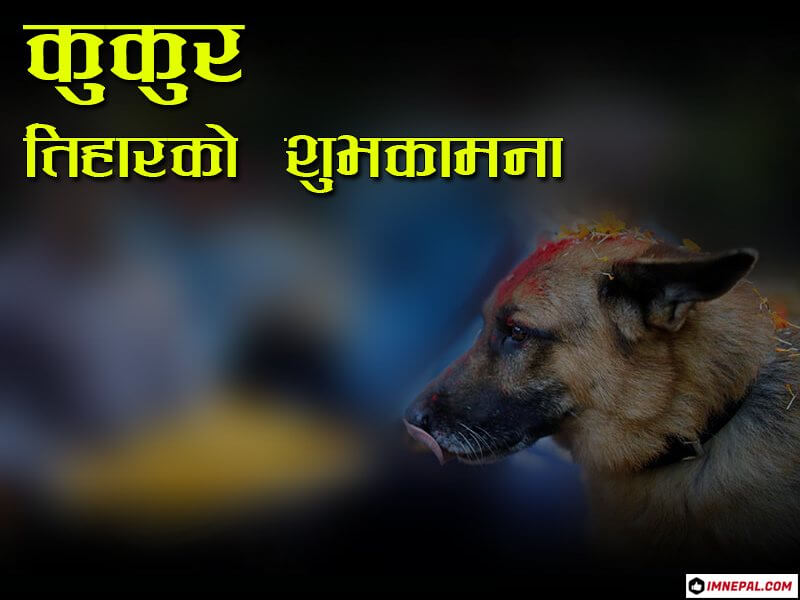 Happy Dog Festival Greetings Cards Nepali