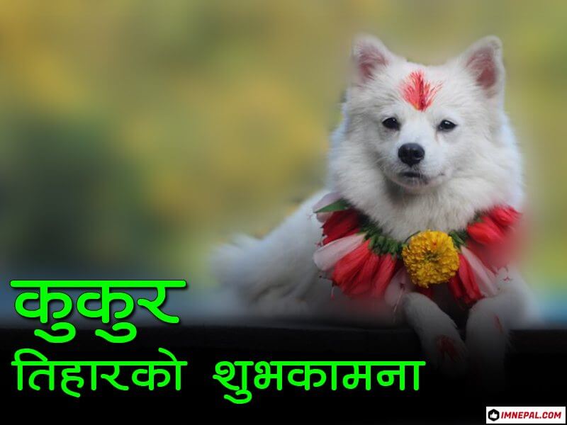 Happy Dog Festival of Nepal Wishes Cards