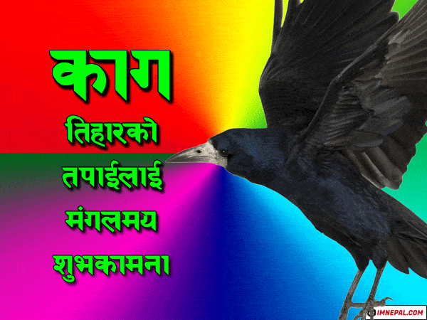 Happy Kag Tihar Greeting Cards Image in Nepali