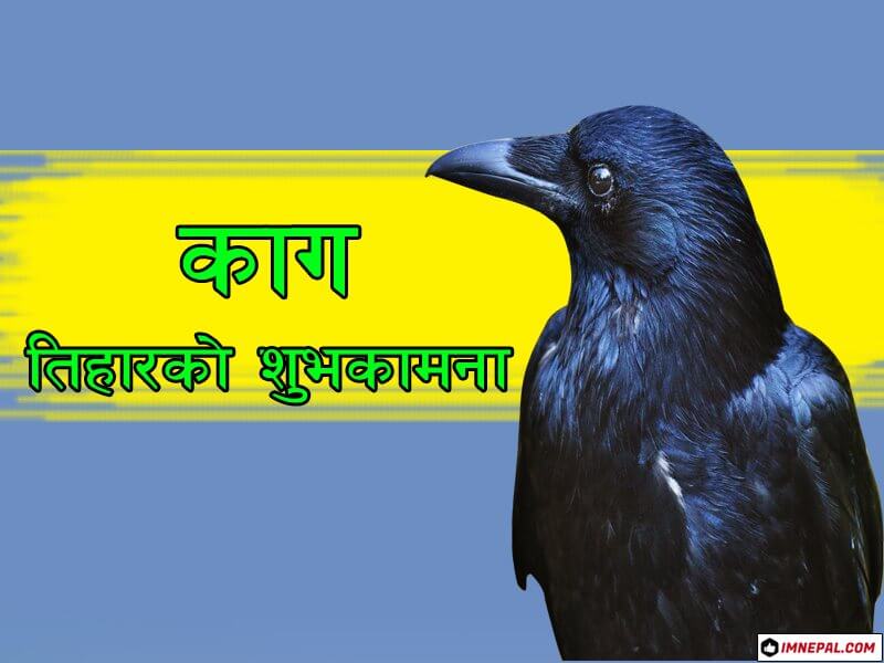 Happy Kag Tihar Greeting Cards Image in Nepali