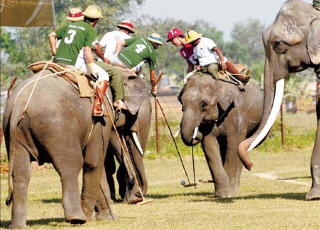 elephant polo game Nepal