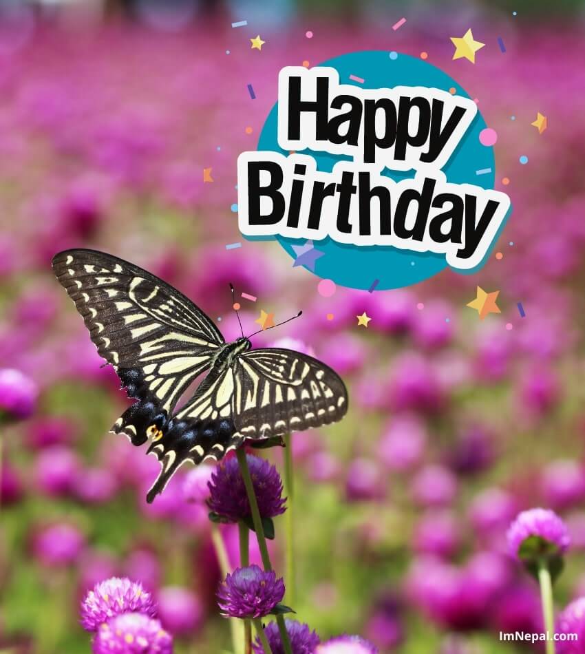 20 Happy Birthday Cards With Butterflies Image