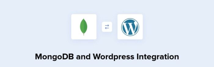 WordPress MongoDB
