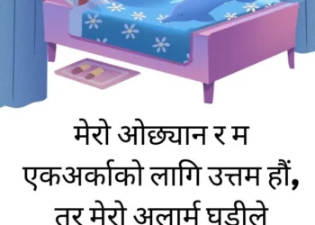 Short Funny Status in Nepali