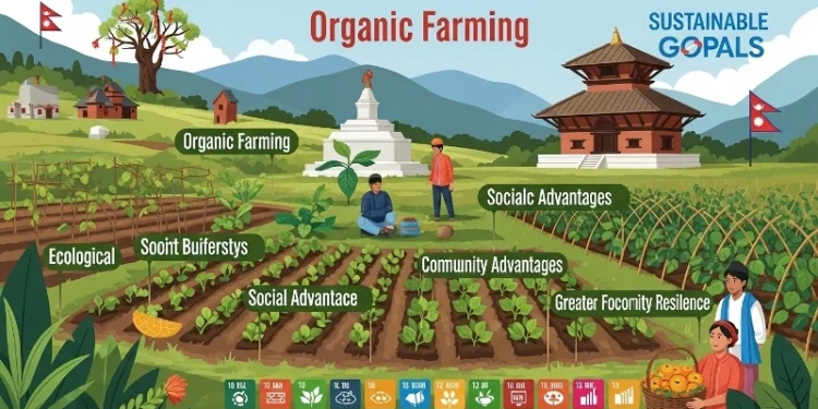 Organic Farming